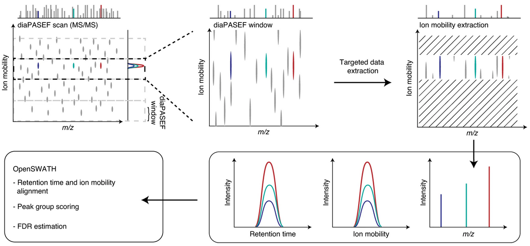diaPASEF OpenSWATH data extraction